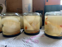 喜嘉力 可蒸煮玻璃瓶空罐头瓶黄桃玻璃罐头瓶耐高温番茄酱瓶子密封罐 450ml (8个) 实拍图