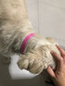 养只宠物（YOUNGER PET）猫咪狗狗脖圈跳蚤圈体外驱用品宠物狗猫咪项圈猫狗跳蚤虱子用品 狗用项圈【长38CM】（2个装） 狗用 实拍图