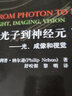 从光子到神经元——光、成像和视觉 实拍图