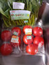 東昇供港大番茄500g 西红柿 酸甜多汁火锅食材 广州蔬菜新鲜配送 实拍图