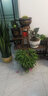华观家居（Home Giving Furniture）可移动手推花架实木多层落地式花盆架子木质盆景阳台客厅室内多肉 经典款碳色中号带轮 实拍图