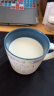 佳佰 釉下彩陶瓷马克杯 情侣水杯居家办公咖啡杯茶杯牛奶杯早餐麦片杯 小鱼 实拍图