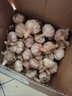 农多鲜河南干蒜新鲜正宗紫皮大蒜 多瓣蒜当季新鲜农产品蔬菜 净重3斤中果 实拍图