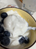 川秀（进口双歧40菌）双歧杆菌酸奶发酵酸奶机自制酸奶粉粉发酵剂 实拍图