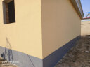 嘉宝莉（CARPOLY）外墙漆乳胶漆防水防晒涂料外墙翻新防水涂料新家园20kg灿烂麦黄 晒单实拍图