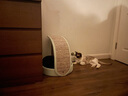 兽牌拱桥剑麻猫抓板不掉屑立式猫爬架猫磨爪猫玩具猫窝冬季保暖带垫子 薄荷绿【清新简约色】 实拍图