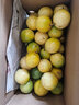 卡布诺海南黄金百香果甜种钦蜜9号黄色百香果特大鸡蛋果新鲜应季水果 3斤中大果精品装【彩箱】单果70g+ 实拍图
