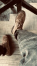 跨足行马丁靴男中帮英伦风工装靴子男士高帮沙漠短靴秋冬季黑色透气皮鞋 棕色-四季款 39 码（＝运动鞋40） 实拍图