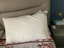 康尔馨枕芯 希尔顿五星级酒店羽绒枕头 95%白鹅绒枕 单只 74*48cm 实拍图