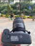 Nikon尼康D90 D3200 5600 D5500套机二手单反数码照相机高清旅游入门级d3100 官方标配 95新尼康d3100含18-55VR 晒单实拍图