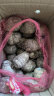 莲山九鲜山东牛奶小芋头农家自种现挖毛芋头新鲜芋艿香芋 5斤中果（2023年新） 晒单实拍图