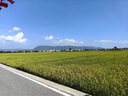 【豪华休旅】云南旅游 昆明大理丽江6天5晚跟团游 打卡网红景点 去有风的地方旅拍 双人价 实拍图
