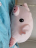 捉趣（ZHUOQU）小猪公仔可爱创意毛绒玩具玩偶陪睡抱枕靠垫娃娃玩偶女生生日礼物 BOBO猪呆萌款 80cm 实拍图