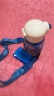格沵（germ）奥特曼联名儿童水杯壶男孩幼儿园吸管杯子550ML-蓝色赛罗 晒单实拍图