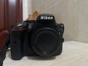 尼康/Nikon D5200 D5300 D5500 D5600 二手单反相机学生新手入门级数码相机 D5300单机 准新 实拍图