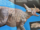 PNSO恐龙博物馆:中型植食恐龙（恐龙复原艺术家赵闯十年大成之作） 实拍图