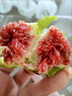 骑猴赶马山东威海青皮无花果【顺丰空运】新鲜无花果鲜果青皮无花果新鲜 【净重0.9-1斤丨12个左右】 实拍图