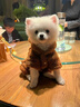 阿莫尔猫咪衣服加厚秋冬装保暖棉衣泰迪比熊雪纳瑞小型犬狗狗宠物四脚衣 咖色变身装 XS(建议1-3斤具体参考胸围背长) 实拍图