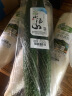 小汤山 北京 有机白萝卜 800g 新鲜蔬菜 实拍图