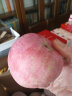京愿 陕西新鲜红富士苹果脆甜丑苹果时令平果新鲜冰糖心苹果水果生鲜 5斤装（净重4.5-5斤） 晒单实拍图