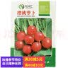 元井汇（YUANJINGHUI）蔬菜种子四季播盆栽阳台庭院香菜生菜菠菜小葱简单秋易种籽孑大全 樱桃萝卜（约500粒） 实拍图