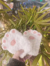 蓓沐格猫爪手套毛线diy手工编织材料包可爱针织毛绒成品冬季送女友礼物 DIY猫爪手套【乳白】 【工具+材料+教程】 实拍图