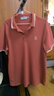 海澜之家短袖POLO衫男款凉感抗菌防螨翻领短袖男夏季 【中华龙】砖红1T 2XL 185/100A 推荐83-90kg 实拍图