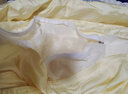 钱皇黄金丝贵族蚕丝被  100%桑蚕长丝 春秋被 3斤 220*240cm 黄色 实拍图