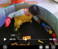 麦乐宝决明子玩具沙子大颗粒枕芯10斤沙漏车沙滩玩具套装围栏挖沙子工具 5斤决明子 安全材质 实拍图