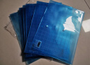 得力(deli)10只A4按扣学生桌面透明文件袋 试卷收纳 学科分类 塑料防水档案袋 蓝色5501B 实拍图
