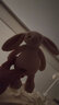 Jellycat害羞胭脂粉色邦尼兔柔软舒适动物毛绒玩偶儿童送礼生日礼物 害羞胭脂粉色邦尼兔 Small 实拍图