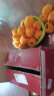 堡鲜生陕西洛川红富士苹果脆甜多汁时令新鲜孕妇水果生鲜苹果整箱 70-75mm带箱10斤 (净重8.8斤) 实拍图