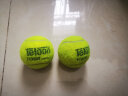 天龙（Teloon） 网球比赛训练习用球桶装P4高弹耐磨 TOUR POUND（精装六听） 实拍图
