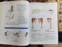 骨科神经病学—神经定位诊断指南（第2版） 实拍图