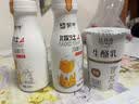 蒙牛北欧芝士原味风味酸牛奶220g 实拍图