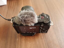 索尼（SONY）ZV-E10K APS-C半画微单 ZV-E10  vlog直播4K视频侧翻式ZV-E10L/zv-e10/ZV-E10K 黑色K套机+原装电池+黑色蓝牙手柄 套餐二 实拍图