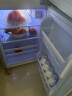 樱花（SAKURA）双门小冰箱迷你冰箱小型家用宿舍保鲜冷藏冷冻 双门小型两门电冰箱 48A126双门冰箱-金色48L 实拍图