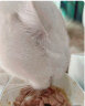 伟嘉猫零食成猫妙鲜包85g*12海洋鱼味猫湿粮主餐包(新老包装交替发货) 实拍图