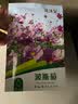 花沃里波斯菊花种子约10g/包 花卉种子家庭盆栽花籽阳台办公庭院草籽 实拍图