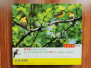 自然疗养SPA：天堂鸟（2 DSD CD） 实拍图