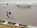澳柯玛（AUCMA）737升商用冰柜大容量冰柜 冷藏柜冷冻柜转换冰柜 单温冷柜 雪糕柜 顶开门 BC/BD-737TC 实拍图