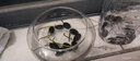 观赏莲子水培植物阳台花卉水生水养花盆栽 观赏莲子30粒+玻璃盆 实拍图