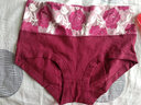 莫代尔女士内裤女高腰收腹提臀纯棉无痕抗菌透气大码女式三角内裤短裤头 1566大红 XL (170/100) 实拍图
