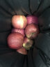 馋半仙庆阳红富士苹果5斤 冰糖心苹果 新鲜水果 时令应季水果 整箱5斤装 实拍图