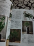 室内绿植搭配与养护完全手册：用绿植打造花园家居（日本专业绿植设计师经验总结 植物杀手也能打造高颜值绿意家居） 实拍图