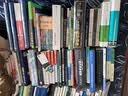 新时代乡村振兴战略规划与案例 实拍图