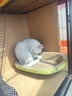 乖宠（Guaichong）猫咪沐浴露除虱灭蚤杀螨除菌宠物猫咪幼猫香波浴液洗澡用品 猫咪600毫升 实拍图