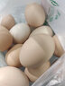 我老家新鲜大鹅蛋 农家自养土鹅蛋 现捡现发 鹅蛋12枚(120-140g) 实拍图
