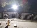 朋科led投光灯 探照灯强光大面积塔吊灯室外大功率防水工地照明灯 接电款50W 白光 【升级矩阵透镜】足瓦照100平 实拍图