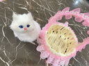 亦趣会叫仿真提篮猫咪毛绒玩具篮子猫玩偶花篮猫女孩儿童生日礼物 提篮粉色蕾丝白猫带叫声 实拍图